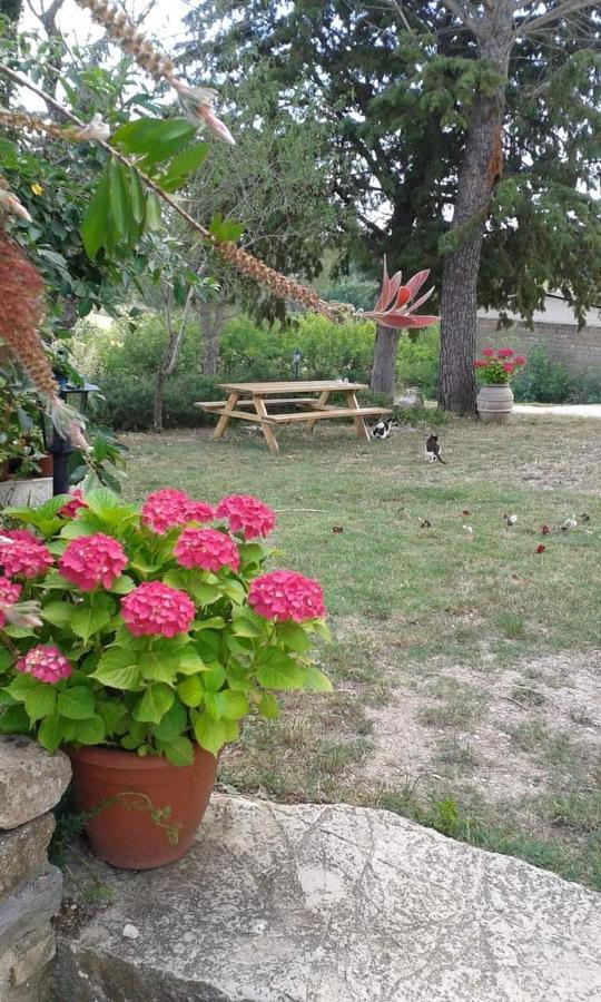 Agriturismo Le Stiacce Saturnia Dış mekan fotoğraf