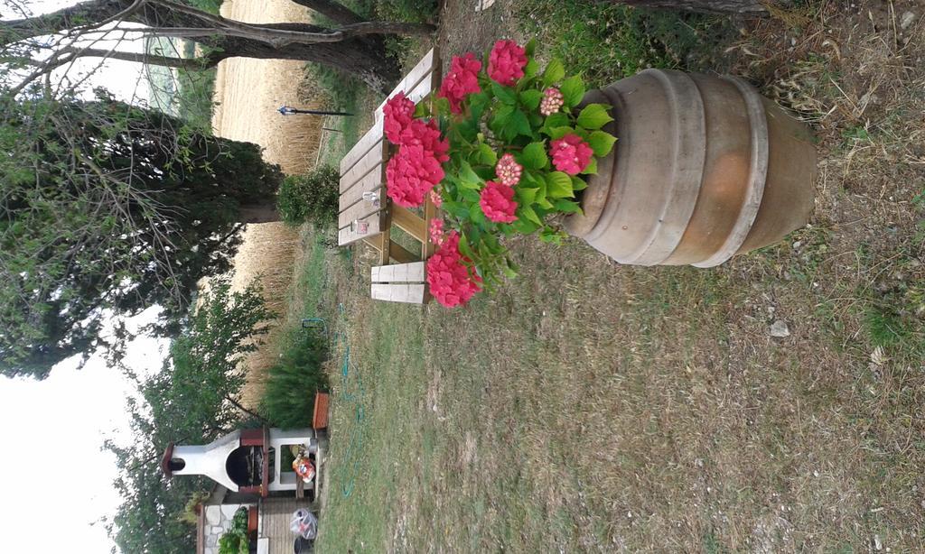 Agriturismo Le Stiacce Saturnia Dış mekan fotoğraf